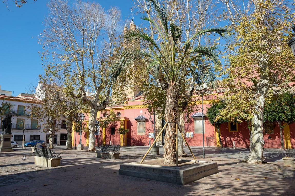 Apartamento Rubens Suite Atico Sevilla Eksteriør billede